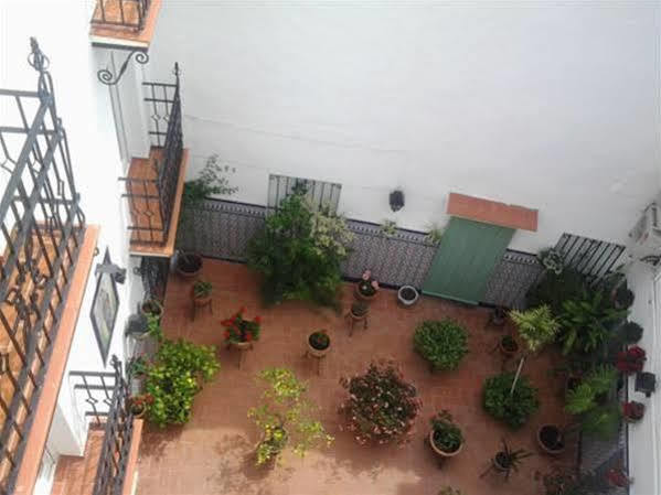 Hostal Enriqueta Marbella Exterior foto